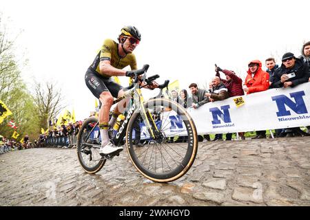 Oudenaarde, Belgio. 31 marzo 2024. L'olandese Mick Van Dijke del Team Visma-Lease a Bike in azione durante la gara maschile della "Ronde van Vlaanderen/Tour des Flandres/Tour of Flanders", un giorno di ciclismo, 270 km da Anversa a Oudenaarde, domenica 31 marzo 2024. BELGA FOTO DAVID PINTENS credito: Belga News Agency/Alamy Live News Foto Stock