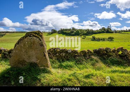 Pietra dell’età del ferro, Clava Cairns, vicino a Inverness, Scozia, autunno, di Dominique Braud/Dembinsky Photo Assoc Foto Stock