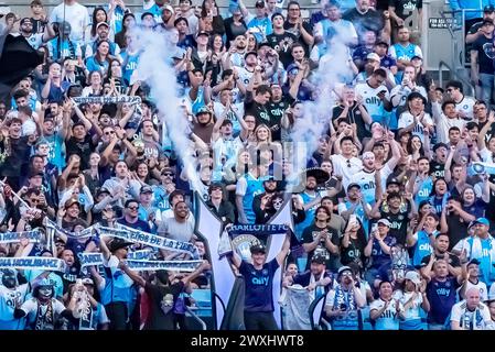 30 marzo 2024, Charlotte, NC, USA: I tifosi di calcio mostrano il loro sostegno durante la partita Charlotte FC vs FC Cincinnati al Bank of America Stadium di Charlotte, NC. (Credit Image: © Walter G Arce Sr Grindstone medi/ASP) SOLO PER USO EDITORIALE! Non per USO commerciale! Foto Stock