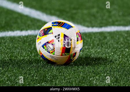 30 marzo 2024, Charlotte, North Carolina, USA: Charlotte FC ospita l'FC Cincinnati in visita al Bank of America Stadium di Charlotte, North Carolina. Charlotte FC e FC Cincinnati uscirono con un pareggio con un punteggio di 1-1. (Credit Image: © Walter G Arce Sr Grindstone medi/ASP) SOLO PER USO EDITORIALE! Non per USO commerciale! Foto Stock