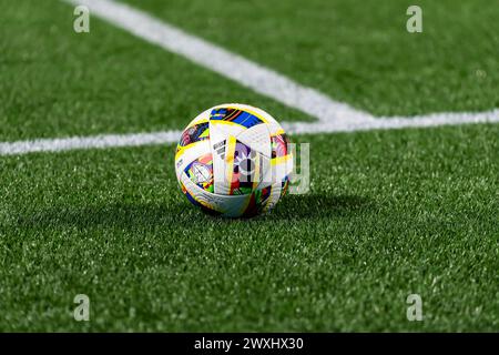 30 marzo 2024, Charlotte, North Carolina, USA: Charlotte FC ospita l'FC Cincinnati in visita al Bank of America Stadium di Charlotte, North Carolina. Charlotte FC e FC Cincinnati uscirono con un pareggio con un punteggio di 1-1. (Immagine di credito: © Grindstone Media Group/ASP) SOLO PER USO EDITORIALE! Non per USO commerciale! Foto Stock