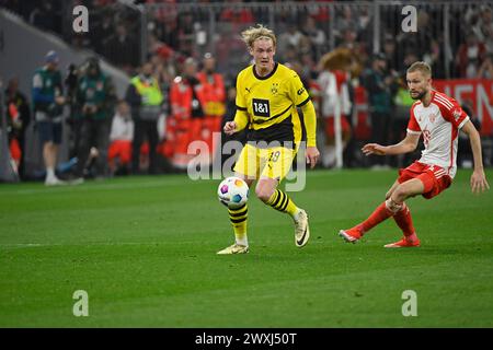 MONACO, Germania. , . 19 Julian BRANDT della BVB contro 27 Konrad LAIMER della FcBayern alla Allianz Arena di Monaco di Baviera sul 30. Marzo 2024, Germania. DFL, Fussball, 0:2, (foto e copyright @ Jerry ANDRE/ATP Images) (ANDRE Jerry/ATP/SPP) credito: SPP Sport Press Photo. /Alamy Live News Foto Stock