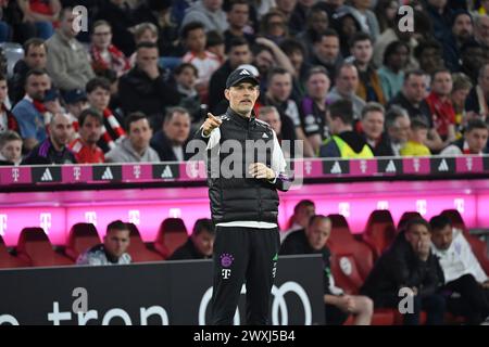 MONACO, Germania. , . Allenatore del FcBayern, allenatore, Thomas TUCHEL durante la partita di calcio della Bundesliga tra il Bayern Muenchen e il Borussia Dortmund, BVB, all'Allianz Arena di Monaco il 30. Marzo 2024, Germania. DFL, Fussball, 0:2 (foto e copyright @ Jerry ANDRE/ATP Images) (ANDRE Jerry/ATP/SPP) credito: SPP Sport Press Photo. /Alamy Live News Foto Stock