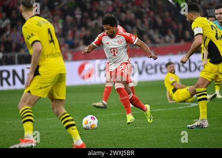 MONACO, Germania. , . 7 Serge GNABRY durante la partita di calcio della Bundesliga tra il Bayern Muenchen e il Borussia Dortmund, BVB, all'Allianz Arena di Monaco il 30. Marzo 2024, Germania. DFL, Fussball, 0:2 (foto e copyright @ Jerry ANDRE/ATP Images) (ANDRE Jerry/ATP/SPP) credito: SPP Sport Press Photo. /Alamy Live News Foto Stock