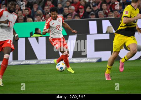 MONACO, Germania. , . 7 Serge GNABRY durante la partita di calcio della Bundesliga tra il Bayern Muenchen e il Borussia Dortmund, BVB, all'Allianz Arena di Monaco il 30. Marzo 2024, Germania. DFL, Fussball, 0:2 (foto e copyright @ Jerry ANDRE/ATP Images) (ANDRE Jerry/ATP/SPP) credito: SPP Sport Press Photo. /Alamy Live News Foto Stock