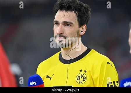 MONACO, Germania. , . Mats HUMMELS durante la partita di Bundesliga tra il Bayern Muenchen e il Borussia Dortmund, BVB, all'Allianz Arena di Monaco di Baviera il 30. Marzo 2024, Germania. DFL, Fussball, 0:2 (foto e copyright @ Jerry ANDRE/ATP Images) (ANDRE Jerry/ATP/SPP) credito: SPP Sport Press Photo. /Alamy Live News Foto Stock