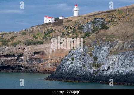 Nuova Zelanda, Isola del Sud, Dunedin, Penisola di Otago. Taiaroa Head, sede dell'unica colonia di albatros reali del nord su una terra abitata. Foto Stock