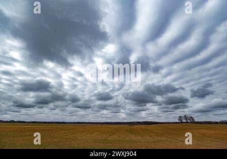 Nuvole primaverili stratificate sui campi, tre alberi sulla montagna Foto Stock