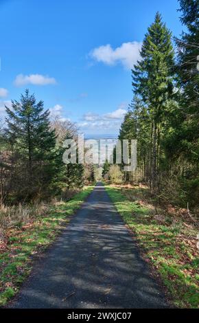 Vecchia linea tranviaria verso Ditton Enclosure su Brown Clee Hill, vicino a Ditton Priors, Shropshire Foto Stock