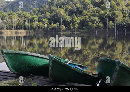 132 vecchie barche verdi a file in vetroresina metà sommerse e metà adagiate sul molo del lago El Palmar con il monte boscoso Las Delicias sullo sfondo. Las Terrazas-Cuba. Foto Stock