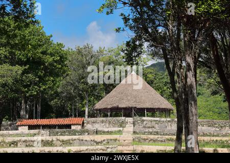 133 Tajona -frantoio- della Cafetal Buenavista Coffee Estate, Centro turistico sostenibile Las Terrazas. Candelaria-Cuba. Foto Stock