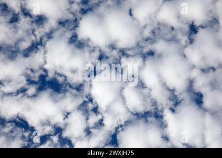 Soffici nuvole bianche e cielo blu. Guardando dritto in alto. Foto Stock