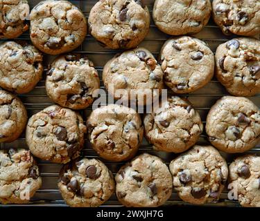 Biscotti con gocce di cioccolato appena sfornati, rinfrescanti su rack. Foto Stock
