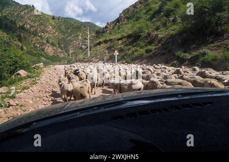 Un gregge di pecore che blocca la polverosa strada sterrata che si snoda attraverso la valle con le montagne nelle giornate di sole. Vista dall'interno di un'auto. Foto Stock