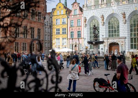 Danzica, Polonia. 31 marzo 2024. Una vista della Fontana del Nettuno e di Dwor Artusa al mercato lungo di Danzica. Il bel tempo e l'aria calda attiravano folle di persone che camminavano all'aperto. (Foto di Mateusz Slodkowski/SOPA Images/Sipa USA) credito: SIPA USA/Alamy Live News Foto Stock