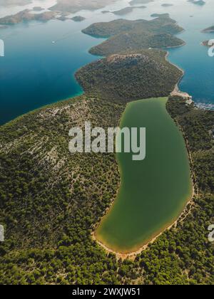 Vista aerea della foresta estiva e del lago con acqua turchese, del Parco Nazionale di Telascica, Croazia Foto Stock