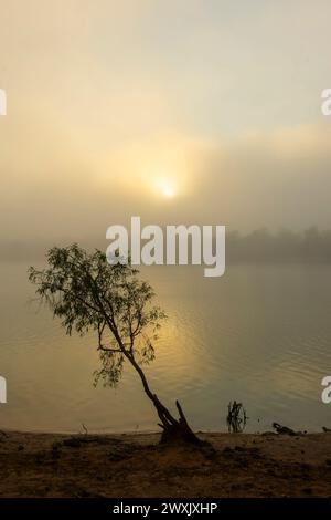 Vista verticale di un'atmosfera nebbiosa alba sul fiume Fitzroy, vicino a Fitzroy Crossing, Australia Occidentale, WA, Australia Foto Stock