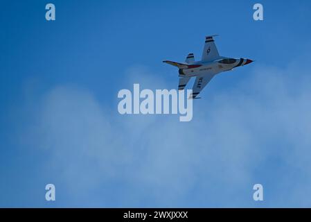 Un F-16C Fighting Falcons assegnò alla United States Air Force Air Demonstration Team "Thunderbirds" preforme al di sopra della folla alla MacDill Air Force base, Florida, 29 marzo 2024. I Thunderbirds hanno partecipato al Tampa Bay AirFest e hanno mostrato l'orgoglio, la precisione e la professionalità di quasi 700.000 American Airmen in tutto il mondo. (Foto U.S. Air Force di Senior Airman Jessica Do) Foto Stock