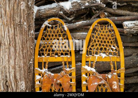 Dettaglio delle classiche racchette da neve in legno (Bear Paw) contro un mucchio di legna da ardere Foto Stock