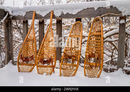 Racchette da neve classiche in legno (Huron e Bear Paw) in un cortile con la neve che cade Foto Stock