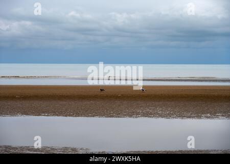 Cumber Sands in un giorno d'autunno, vista della spiaggia e del Canale della Manica, East Sussex, Inghilterra Foto Stock