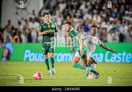 Santos, Brasile. 31 marzo 2024. Partita tra Santos e Palmeiras, valida per l'ultima partita del Campionato Paulista 2024, tenutasi presso lo stadio Urbano Caldeira (Vila Belmiro), costa sud dello stato di São Paolo, questa domenica, 31 marzo 2024. Crediti: Fabiano Martins/FotoArena/Alamy Live News Foto Stock