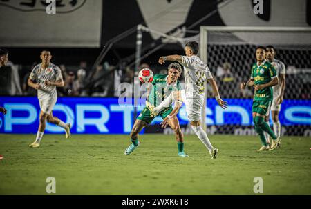 Santos, Brasile. 31 marzo 2024. Partita tra Santos e Palmeiras, valida per l'ultima partita del Campionato Paulista 2024, tenutasi presso lo stadio Urbano Caldeira (Vila Belmiro), costa sud dello stato di São Paolo, questa domenica, 31 marzo 2024. Crediti: Fabiano Martins/FotoArena/Alamy Live News Foto Stock