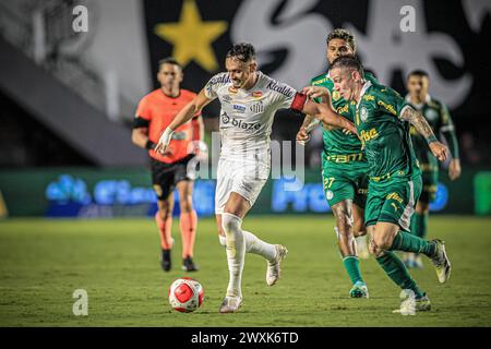 Santos, Brasile. 31 marzo 2024. Partita tra Santos e Palmeiras, valida per l'ultima partita del Campionato Paulista 2024, tenutasi presso lo stadio Urbano Caldeira (Vila Belmiro), costa sud dello stato di São Paolo, questa domenica, 31 marzo 2024. Crediti: Fabiano Martins/FotoArena/Alamy Live News Foto Stock