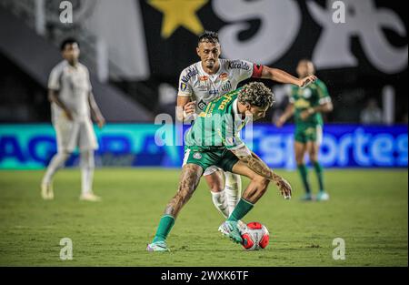 Santos, Brasile. 31 marzo 2024. Partita tra Santos e Palmeiras, valida per l'ultima partita del Campionato Paulista 2024, tenutasi presso lo stadio Urbano Caldeira (Vila Belmiro), costa sud dello stato di São Paolo, questa domenica, 31 marzo 2024. Crediti: Fabiano Martins/FotoArena/Alamy Live News Foto Stock