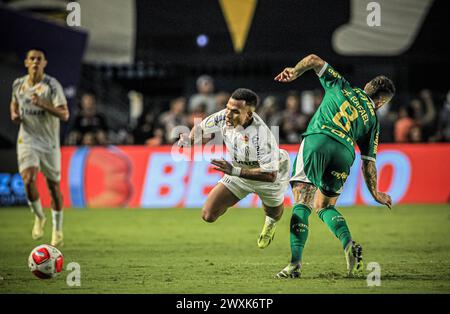 Santos, Brasile. 31 marzo 2024. Partita tra Santos e Palmeiras, valida per l'ultima partita del Campionato Paulista 2024, tenutasi presso lo stadio Urbano Caldeira (Vila Belmiro), costa sud dello stato di São Paolo, questa domenica, 31 marzo 2024. Crediti: Fabiano Martins/FotoArena/Alamy Live News Foto Stock