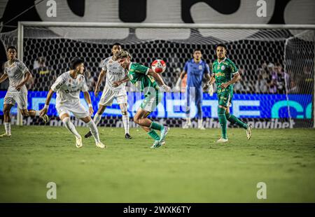 Santos, Brasile. 31 marzo 2024. Partita tra Santos e Palmeiras, valida per l'ultima partita del Campionato Paulista 2024, tenutasi presso lo stadio Urbano Caldeira (Vila Belmiro), costa sud dello stato di São Paolo, questa domenica, 31 marzo 2024. Crediti: Fabiano Martins/FotoArena/Alamy Live News Foto Stock