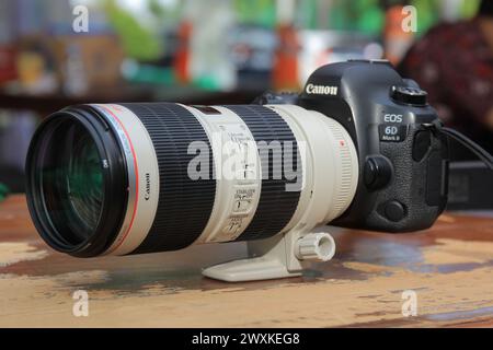 Canon 6D Mark II + EF 70-200mm F2. 8 L IS. Foto Stock