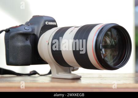 Canon 6D Mark II + EF 70-200mm F2. 8 L IS. Foto Stock