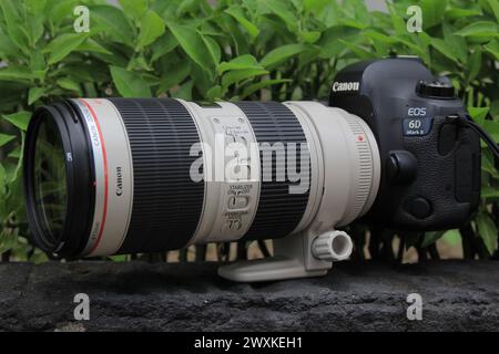 Canon 6D Mark II + EF 70-200mm F2. 8 L IS. Foto Stock