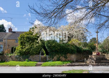 Le armi Ebrington e i ciliegi fioriscono in primavera. Ebrington, Chipping Campden, Gloucestershire, Inghilterra Foto Stock