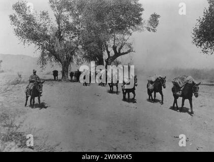 Spedizione punitiva messicana o spedizione Pancho Villa - 11th Cavalry passando Colonia Dublan sulla strada per Namiquipa CA. Maggio 1916 Foto Stock