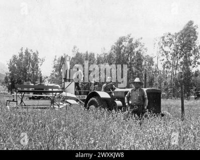 Didascalia originale: "Mietitrice e trattore appartenente al Barona Group of Indians, Lakeside, California. Il grano in primo piano è per lo più avena, con un po' di frumento sparso. Giugno 1937." Foto Stock