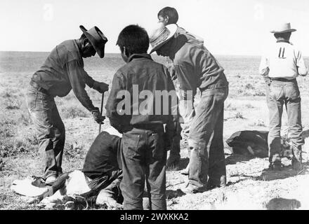 I cowboy nativi americani che marchiano il bestiame in un ranch del Wyoming, California. anni '1940 Foto Stock