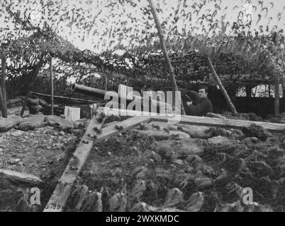 Soldati in una posizione mimetica a Dead Man's Curve vicino a Beaumont Francia CA. 1918 Foto Stock