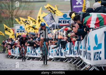 Oudenaarde, Belgio. 1 aprile 2024. Foto di Zac Williams/SWpix.com - 31/03/2024 - Ciclismo - 2024 Ronde Van Vlaanderen - Dylan Teuns, Israel Premier Tech. Crediti: SWpix/Alamy Live News Foto Stock