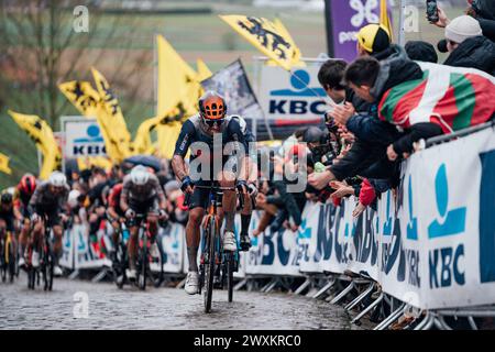 Oudenaarde, Belgio. 1 aprile 2024. Foto di Zac Williams/SWpix.com - 31/03/2024 - Ciclismo - 2024 Ronde Van Vlaanderen - Michael Matthews, Jayco Alula. Crediti: SWpix/Alamy Live News Foto Stock