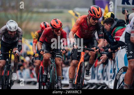 Oudenaarde, Belgio. 1 aprile 2024. Foto di Zac Williams/SWpix.com - 31/03/2024 - Ciclismo - 2024 Ronde Van Vlaanderen - Magnus Sheffield, Granatieri Ineos. Crediti: SWpix/Alamy Live News Foto Stock