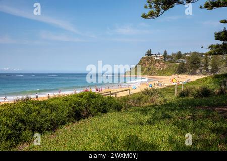 Vegetazione e crescita delle dune intorno a Newport Beach a Sydney, Australia, una delle famose spiagge settentrionali di Sydney, Australia, 2024 Foto Stock