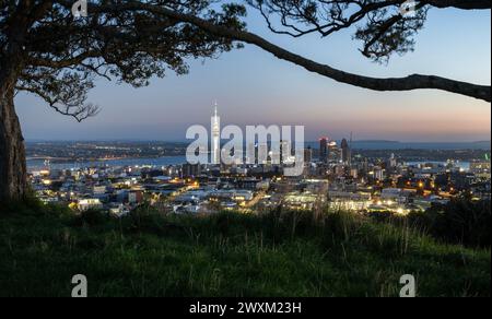 Auckland, nuova Zelanda - marzo 31 2024: Sky Tower e Auckland Harbour Bridge all'alba, incorniciati da alberi di Pohutukawa. Vetta del Monte Eden. Auckland. Foto Stock