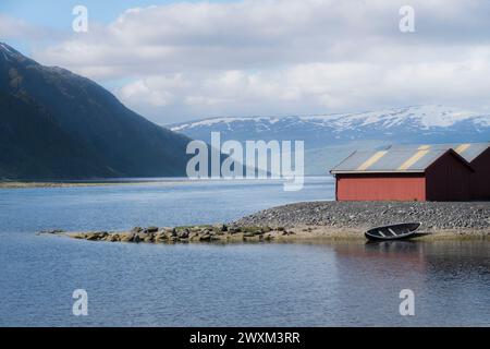 Au bord du fiordo Foto Stock