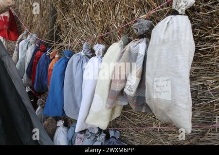 REGIONE DI DNIPROPETROVSK, UCRAINA - 30 MARZO 2024 - i pipistrelli del Libro Rosso salvati durante l'inverno a Dnipro e la regione sono stati rilasciati nel loro habitat naturale a Zelenyi hai, il Centro ucraino di riabilitazione dei pipipistrelli ha mantenuto questa tradizione per 12 anni di seguito, regione di Dnipropetrovsk, Ucraina orientale. Foto Stock