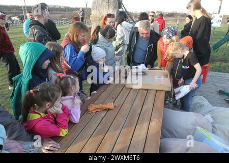 REGIONE DI DNIPROPETROVSK, UCRAINA - 30 MARZO 2024 - i pipistrelli del Libro Rosso salvati durante l'inverno a Dnipro e la regione sono stati rilasciati nel loro habitat naturale a Zelenyi hai, il Centro ucraino di riabilitazione dei pipipistrelli ha mantenuto questa tradizione per 12 anni di seguito, regione di Dnipropetrovsk, Ucraina orientale. Foto Stock