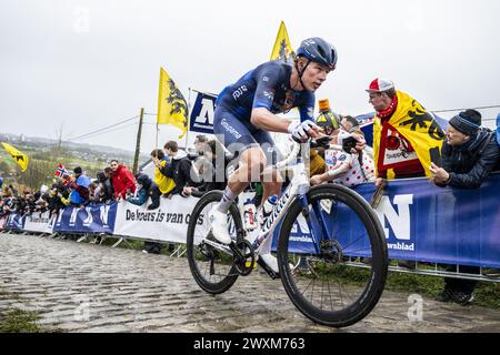 Kluisbergen, Belgio. 31 marzo 2024. Stefan Kung svizzero di Groupama-FDJ nella foto al Paterberg durante la gara maschile della 'Ronde van Vlaanderen/ Tour des Flandres/ Tour of Flanders', un giorno di ciclismo, 270 km da Anversa a Oudenaarde, domenica 31 marzo 2024. BELGA PHOTO TOM GOYVAERTS credito: Belga News Agency/Alamy Live News Foto Stock