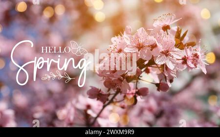 Banner con testo HELLO SPRING e albero in fiore Foto Stock