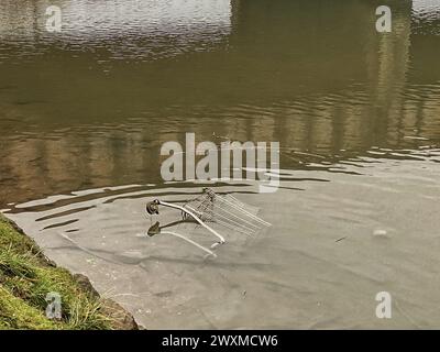 Newton Abbot, Devon, Regno Unito. Crediti: Nidpor/Alamy Live News Foto Stock